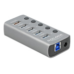 DELOCK USB hub 63262 με διακόπτες, 5x θυρών, 5Gbps, 2.4A, γκρι