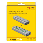 DELOCK USB hub 63264 με διακόπτες, 9x θυρών, 5Gbps, 12V/2.25A PD, γκρι - Image 3